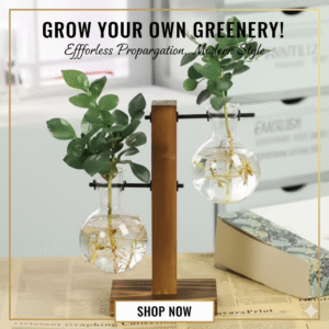 Creative Glass Bulb Vase & Wooden Stand for Desktop Planter Decor